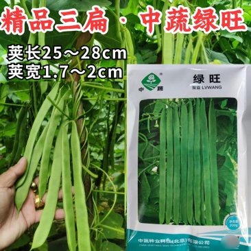 绿旺扁豆种子三扁扁豆青绿架芸豆春秋抗病高产豆角蔬菜种籽孑