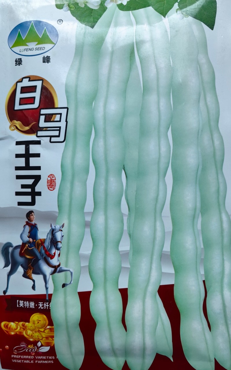 白马王子架豆种子无筋四季豆春秋白绿荚特长耐低温高产豆角种