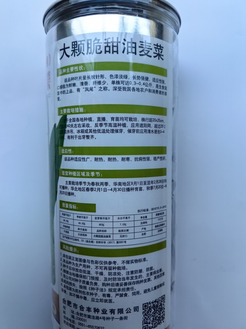 大颗甜脆油麦菜种子耐热耐寒四季无斑香油麦菜种子籽孑基地用