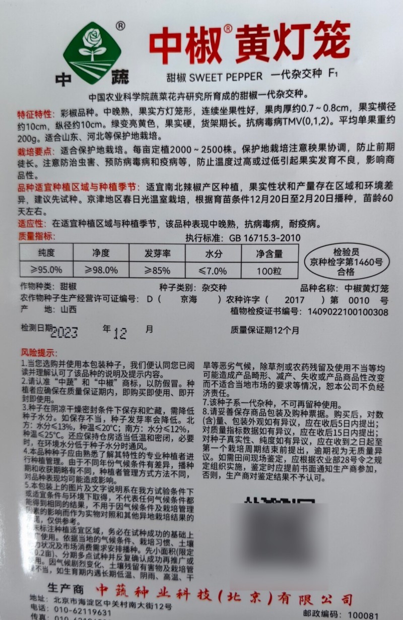 彩椒种子黄色甜椒种子中椒黄灯笼辣椒黄皮柿子椒方椒种子籽孑