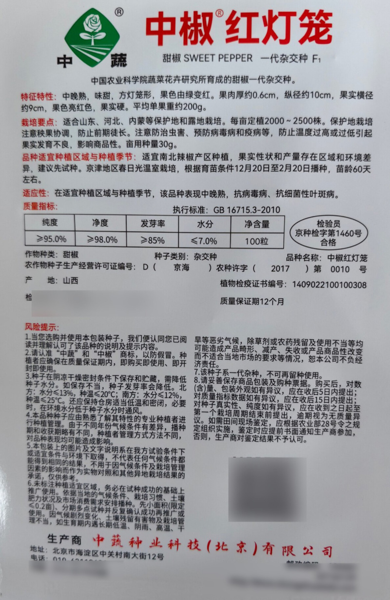 彩色红色甜椒种子中椒红灯笼辣椒种籽阳台四季菜椒灯笼椒孑子