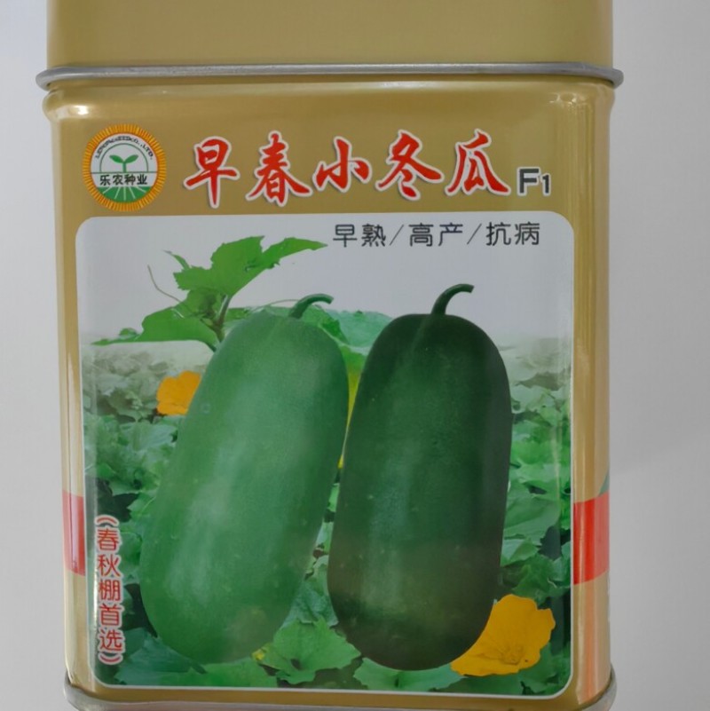 早春小冬瓜种子杂交粉皮白皮小冬瓜迷你冬瓜水果冬瓜种子籽孑