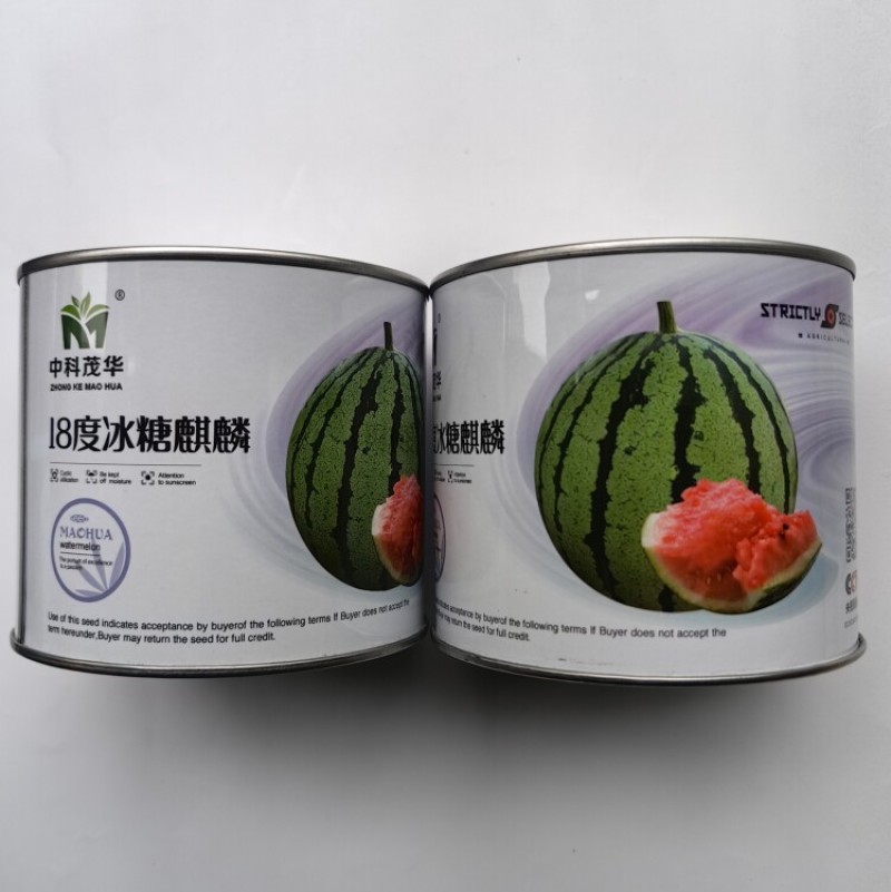 超甜18度冰糖麒麟西瓜种子超8424甜脆多汁耐裂薄皮西瓜