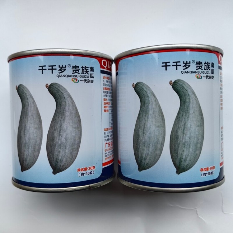 千千岁贵族南瓜种子杂交甘甜粉糯面板栗南瓜新疆丑瓜种子籽孑