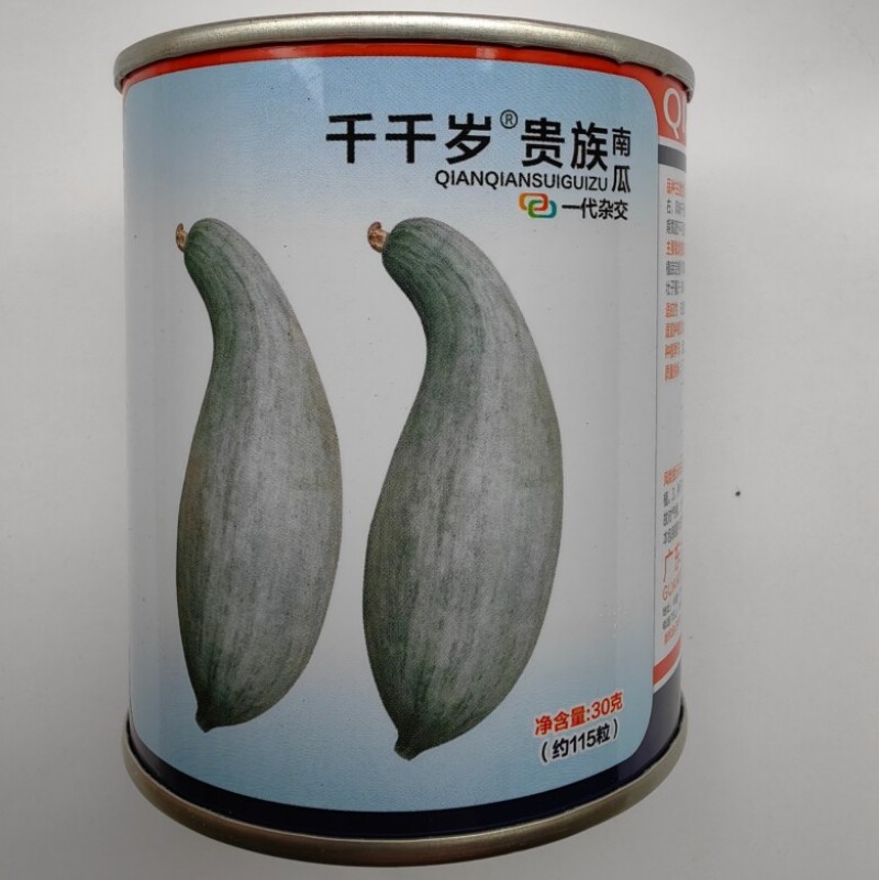 千千岁贵族南瓜种子杂交甘甜粉糯面板栗南瓜新疆丑瓜种子籽孑