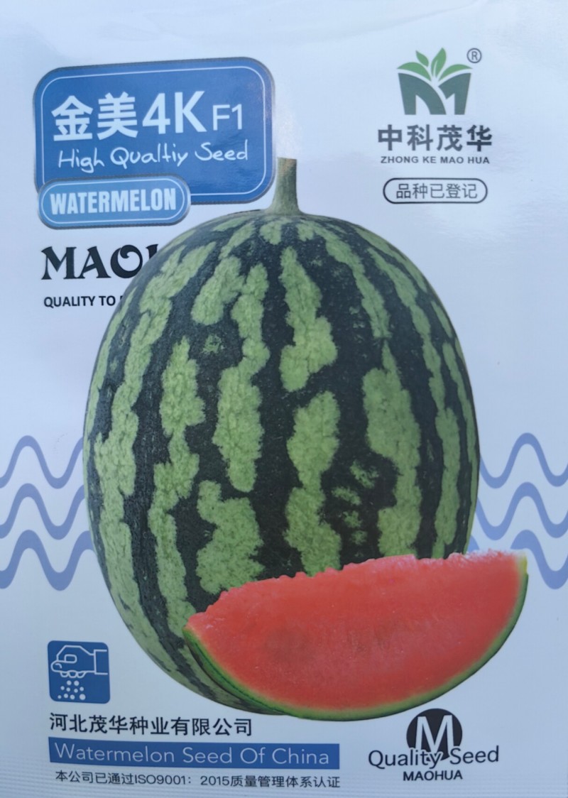 金美4K西瓜种子中小型礼品西瓜种籽红瓤甜脆超甜薄皮吊瓜
