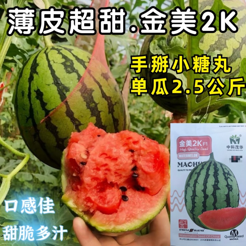 2K西瓜种子礼品小西瓜小糖丸皮薄沙瓤耐裂超甜吊瓜西瓜种子