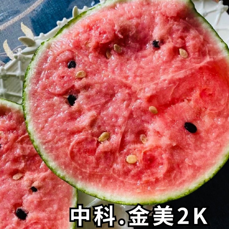 2K西瓜种子礼品小西瓜小糖丸皮薄沙瓤耐裂超甜吊瓜西瓜种子