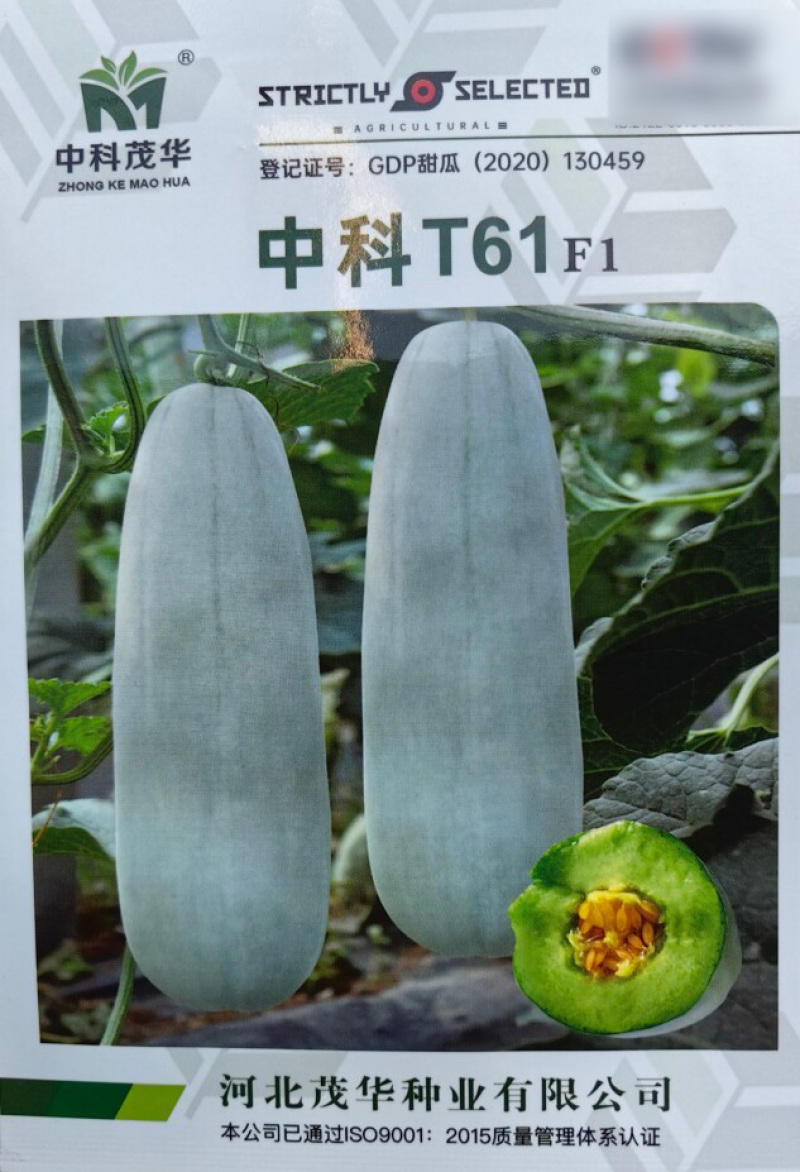 中科T61甜瓜种子超甜羊角蜜种籽甜脆酥甜博洋甜瓜种子