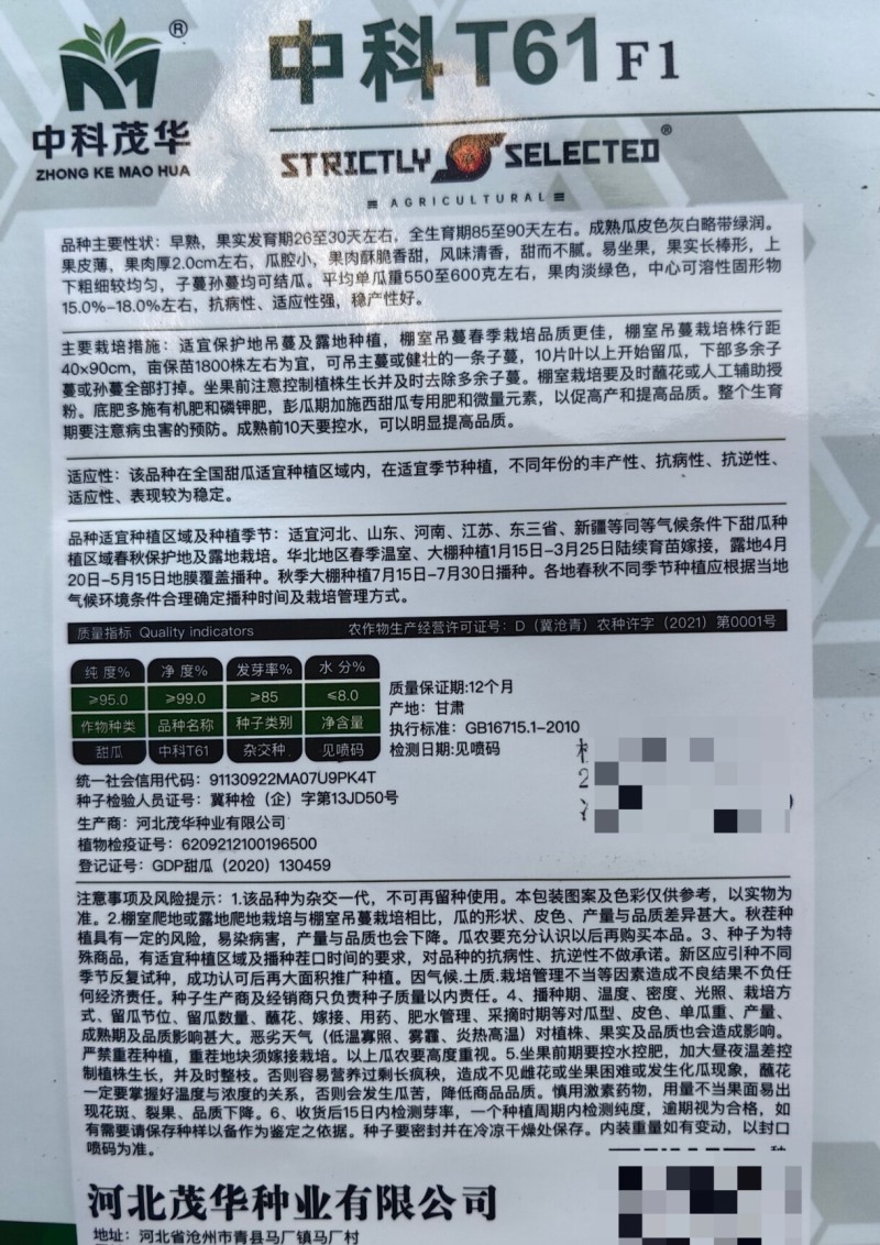 中科T61甜瓜种子超甜羊角蜜种籽甜脆酥甜博洋甜瓜种子