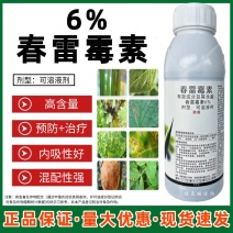 6%春雷霉素水稻稻瘟病柑橘溃疡病流胶病果树蔬菜农药杀菌剂
