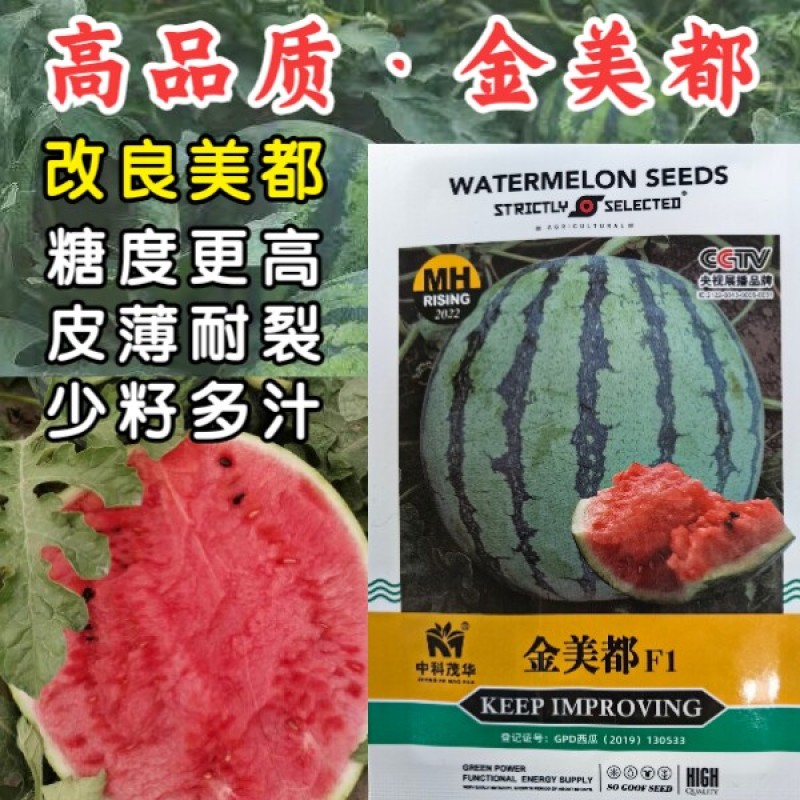 金美都西瓜种子皮薄耐裂中早熟薄皮红瓤圆形高纯甜8424