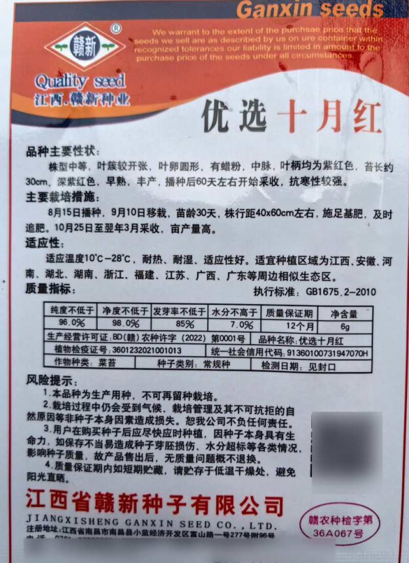 十月红菜苔种子种籽紫广东菜心紫菜苔四季增城迟蔬菜孑菜籽