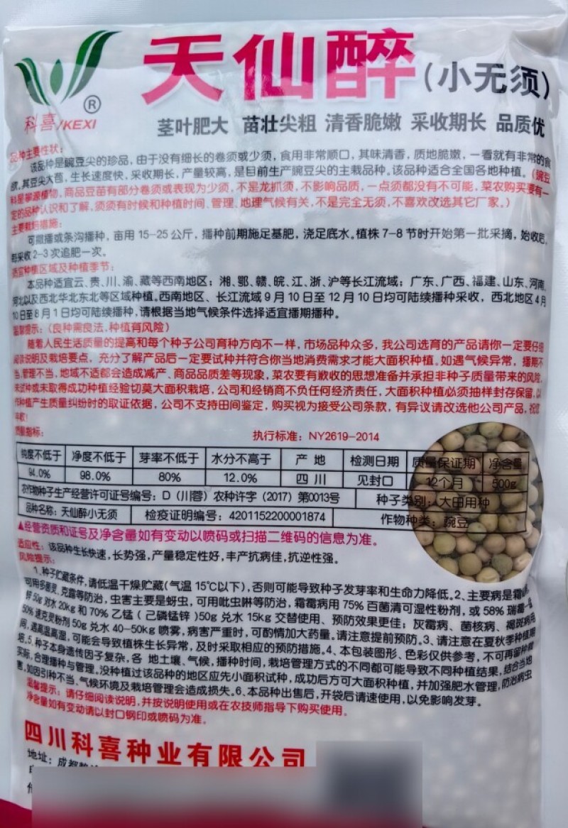豌豆尖种子豌豆苗四川香豌豆尖苗种子籽水培芽苗菜秋季蔬菜种