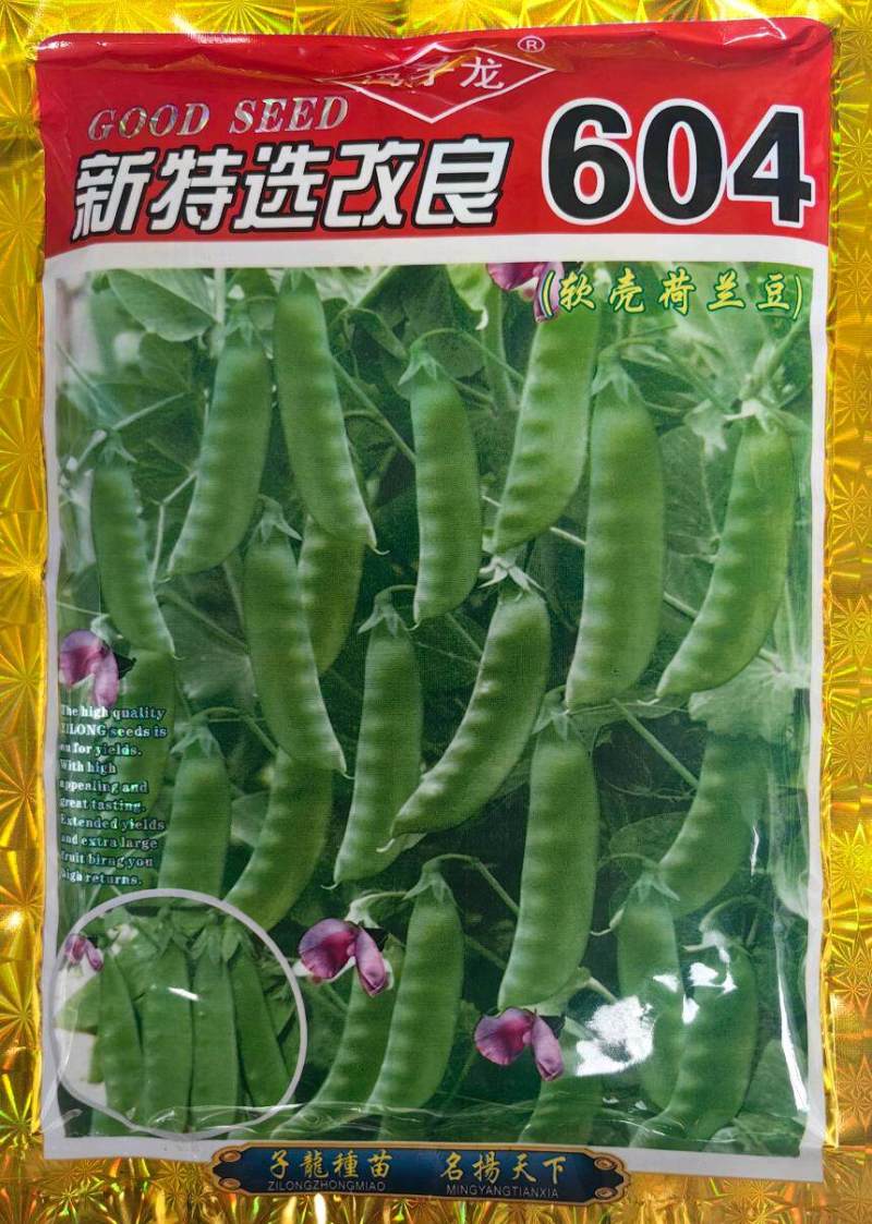 软荚荷兰豆种子大荚香甜荷兰豆种子籽孑春秋播食荚菜豌豆种子