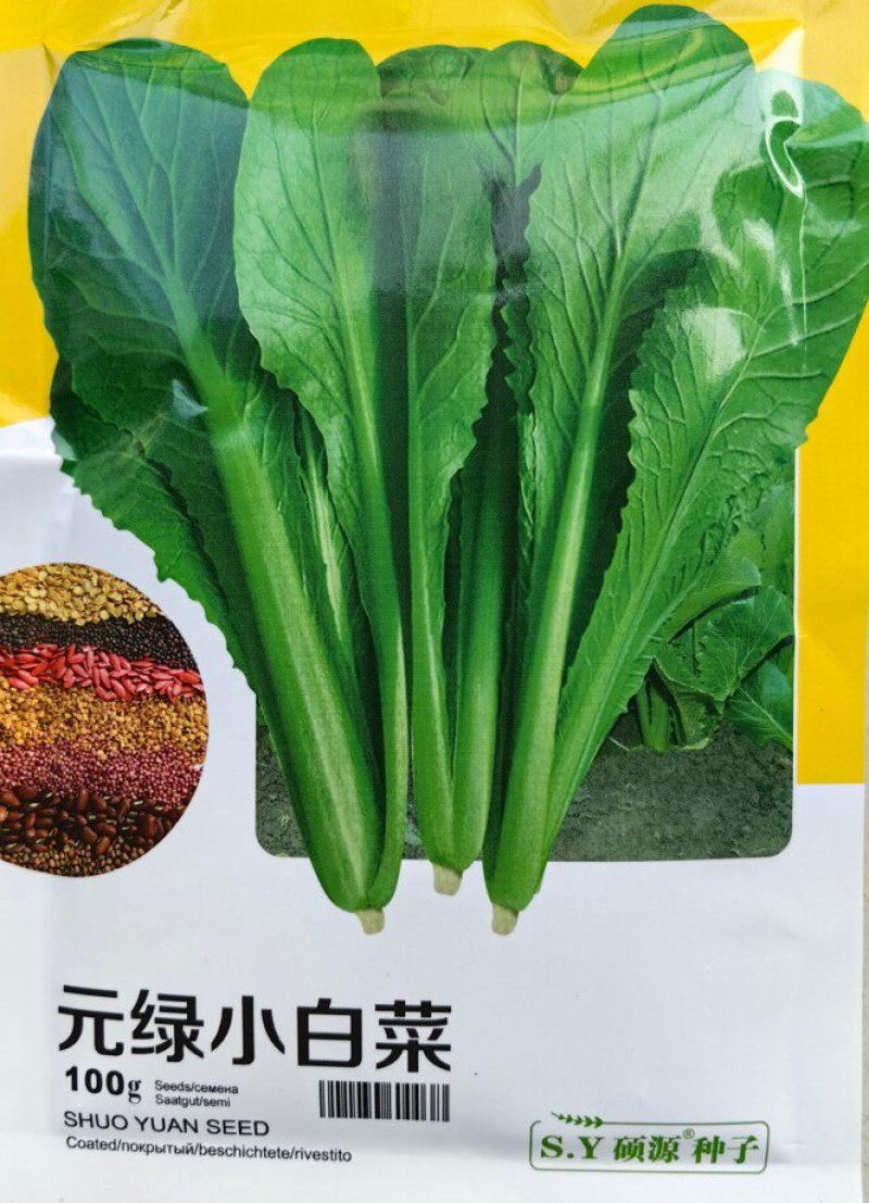 元绿小白菜种子绿帮绿梗叶快菜耐热越夏速生小白菜四季蔬菜种