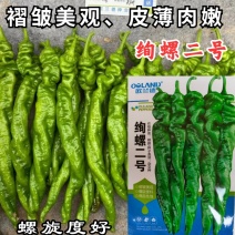 绚螺二号螺丝椒辣椒种籽欧兰德高产春秋大果薄皮香辣螺丝椒种