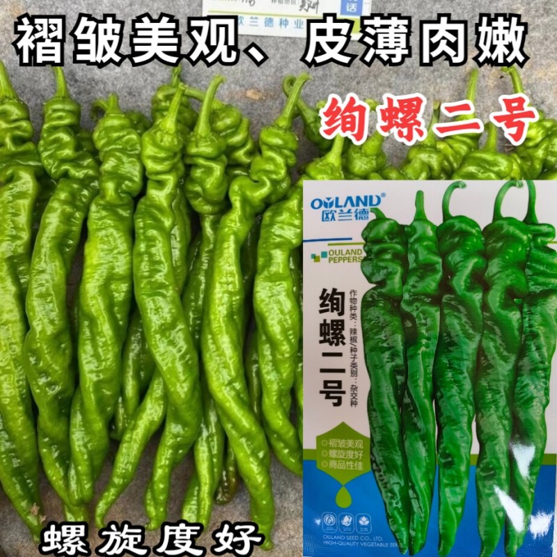 绚螺二号螺丝椒辣椒种籽欧兰德高产春秋大果薄皮香辣螺丝椒种