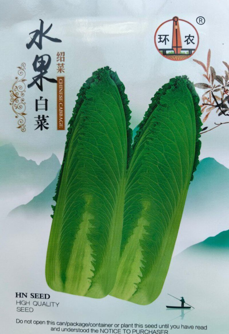 水果白菜种子绍菜种子龙牙白菜甜脆薄叶绿叶青麻叶菜秋蔬菜种