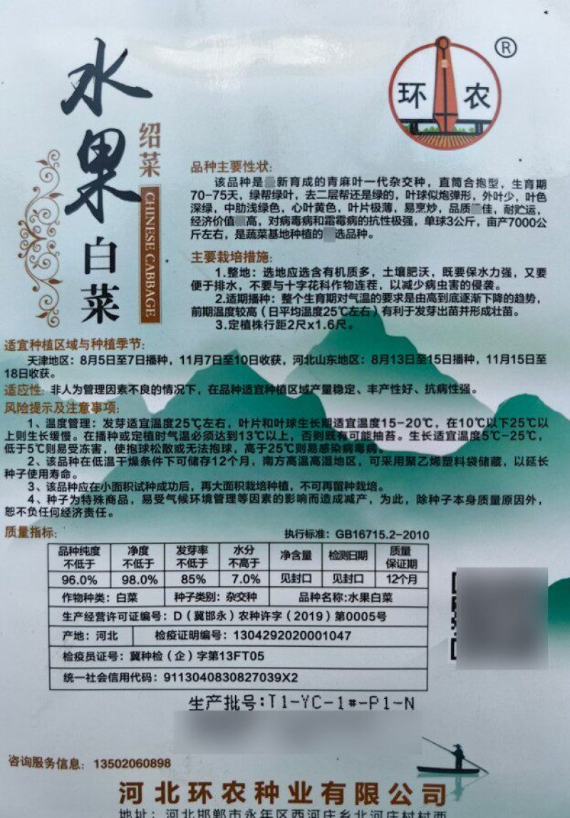 水果白菜种子绍菜种子龙牙白菜甜脆薄叶绿叶青麻叶菜秋蔬菜种