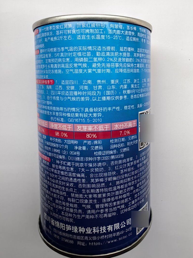 红尖叶莴笋种子笋缘阳光天使耐寒越冬尖叶红皮莴笋莴苣种子籽