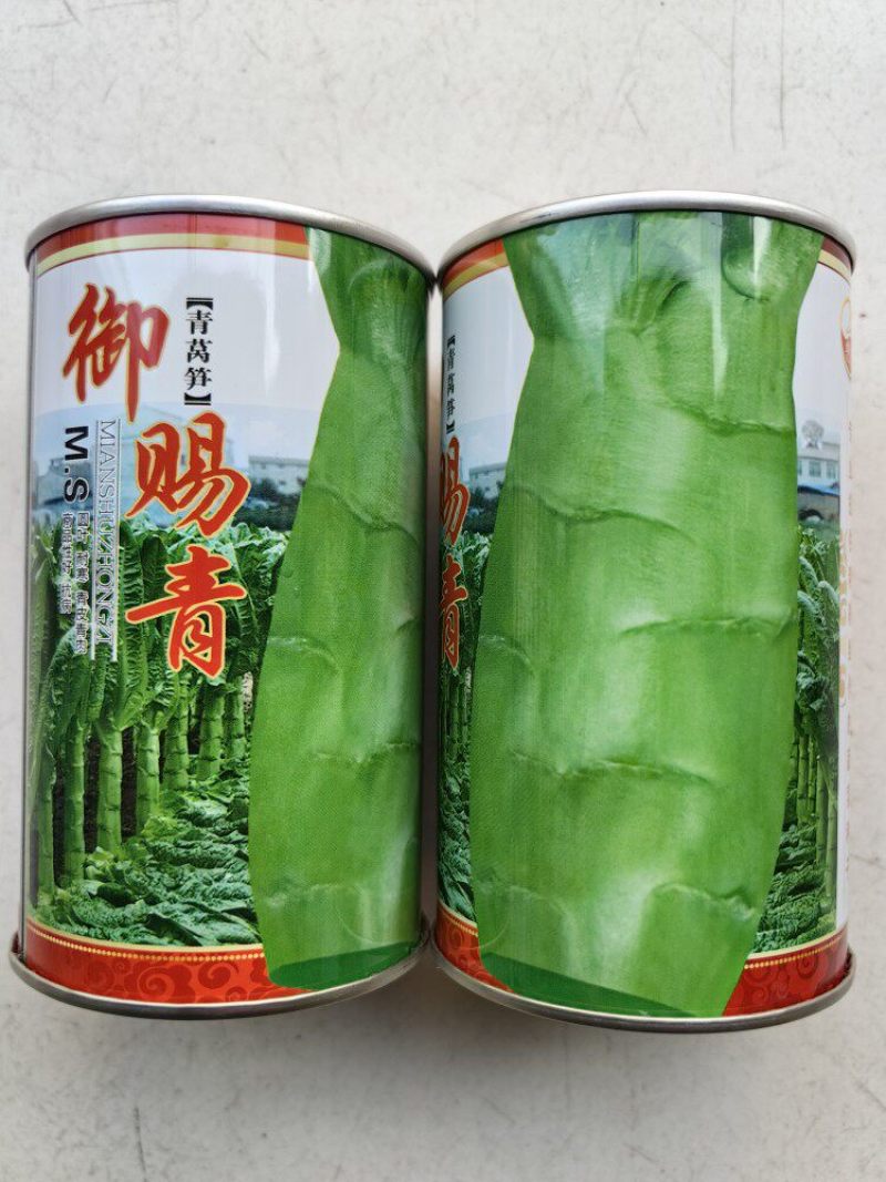 圆叶三青莴笋种子玉赐青皮青肉耐寒耐湿绿肉清香莴笋莴苣种子
