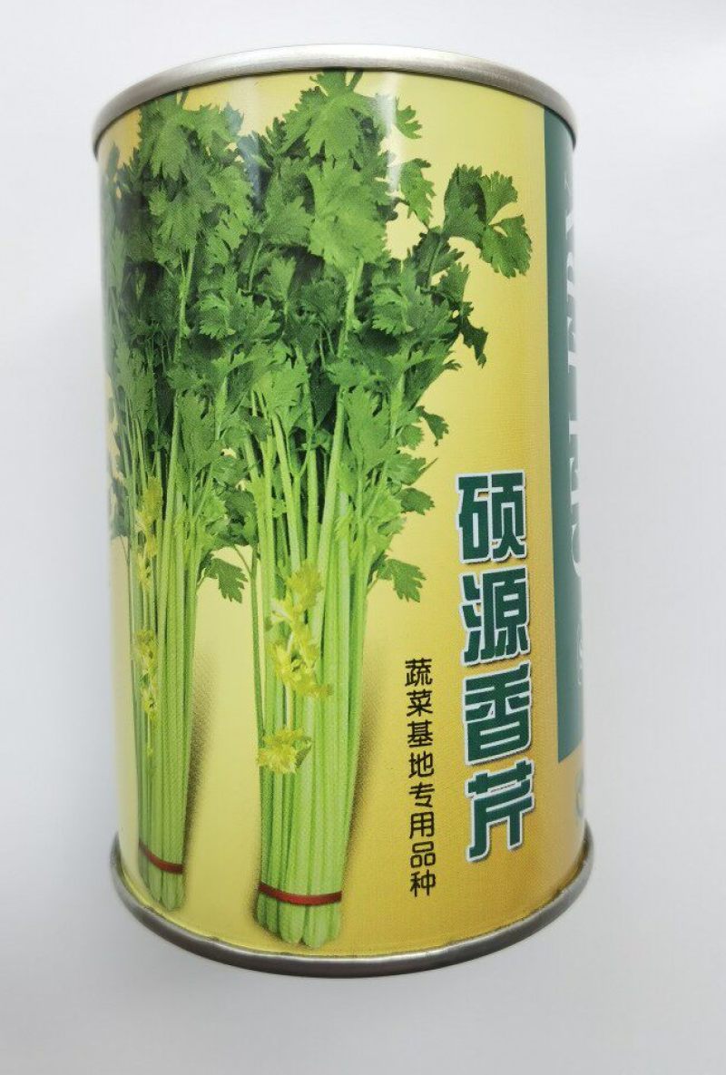 硕源香芹种子四季小香芹无纤维黄绿速生耐热菜农芹菜种子籽大