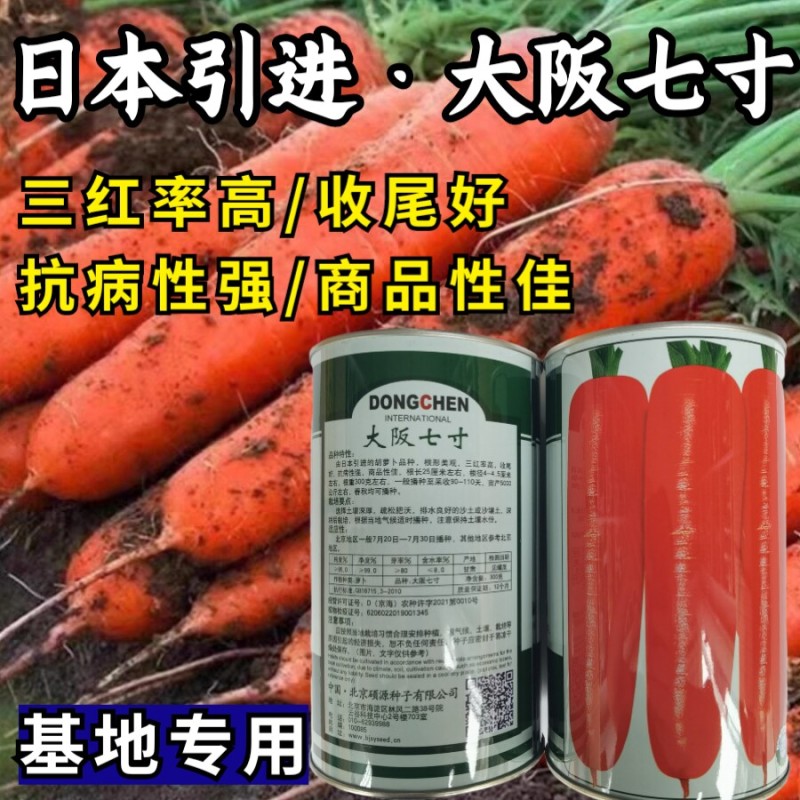 大阪七寸胡萝卜种子日本引进三红率高高产胡萝卜红萝卜种子