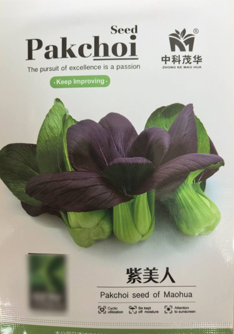 紫罗兰青菜种子籽紫色小油菜种孑紫菘菜种籽阳台盆栽蔬菜种籽