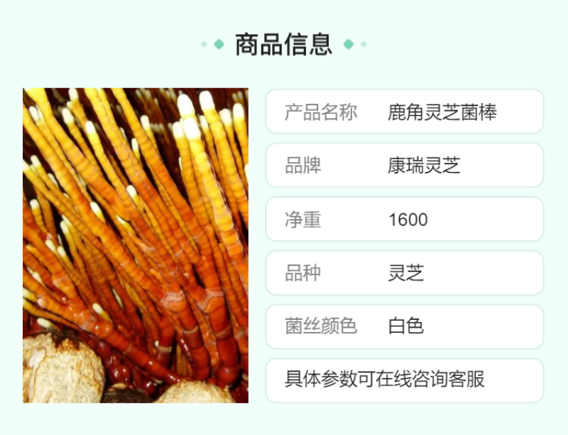 批发鹿角灵芝菌种灵芝草菌包