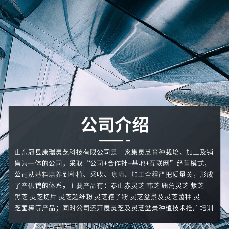 活体灵芝菌种菌包黑灵芝菌棒厂家批发