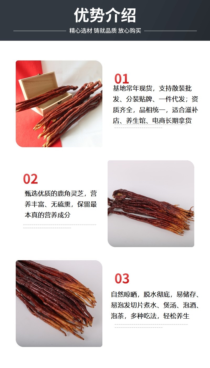鹿角灵芝整枝干货产地直供灵芝草泡酒煲汤中药材批发