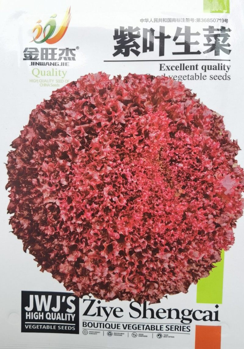 紫叶生菜种子罗莎红叶生菜沙拉即食阳台菜园四季播种易活蔬菜