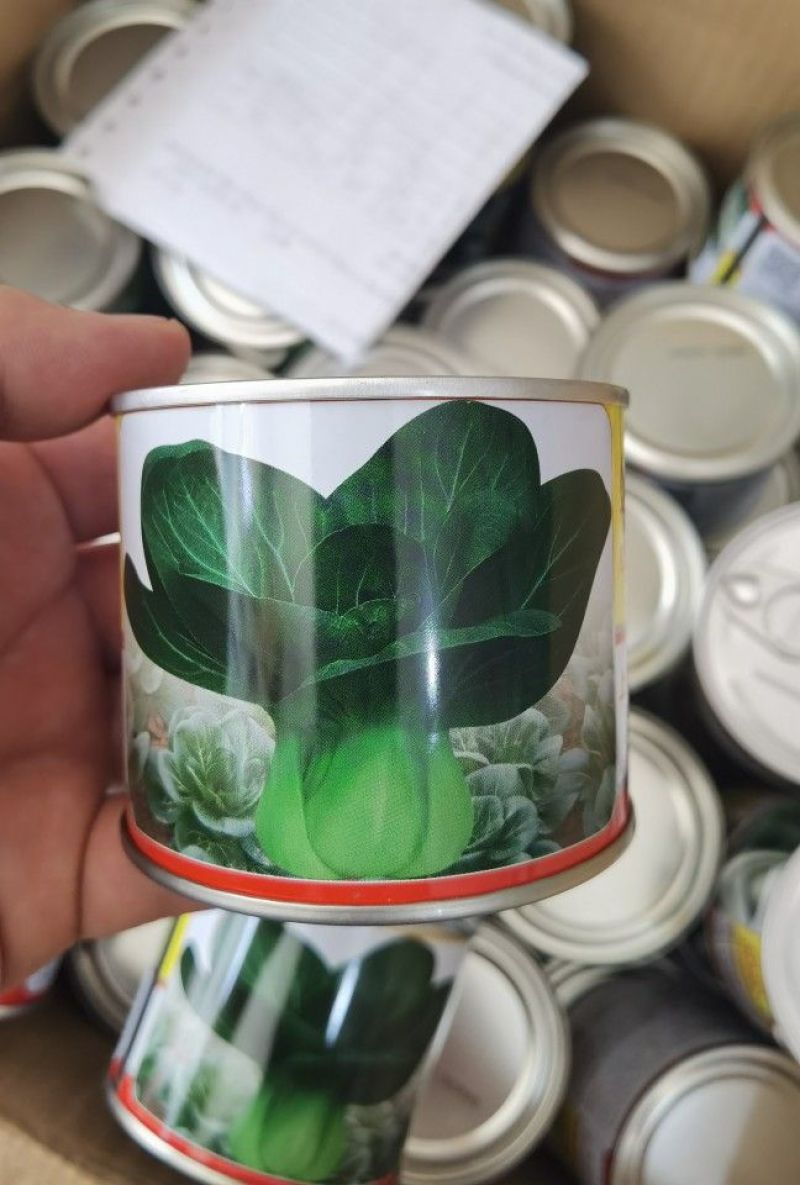夏苏青杂交苏州青青菜种籽黑叶耐热四季播墨绿上海青油菜种子