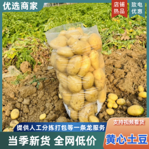 【推荐】高原山地土豆云南精品土豆黄心土豆