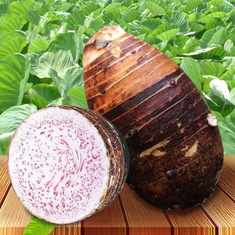 广东香芋头供应链电商一件代发批发商超酒店保质保量