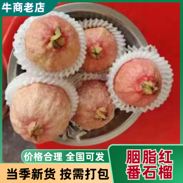【胭脂红番石榴】软糯香甜番石榴奶香香芭乐供应工厂压浆