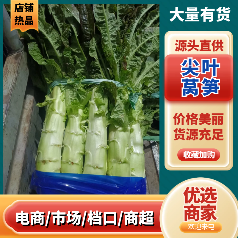 云南莴笋，尖叶莴笋，产地直发，量大从优，可视频看货发全国