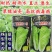 耐热快菜种子油靓亮2号抗高温越夏耐湿热速生小白菜夏秋播