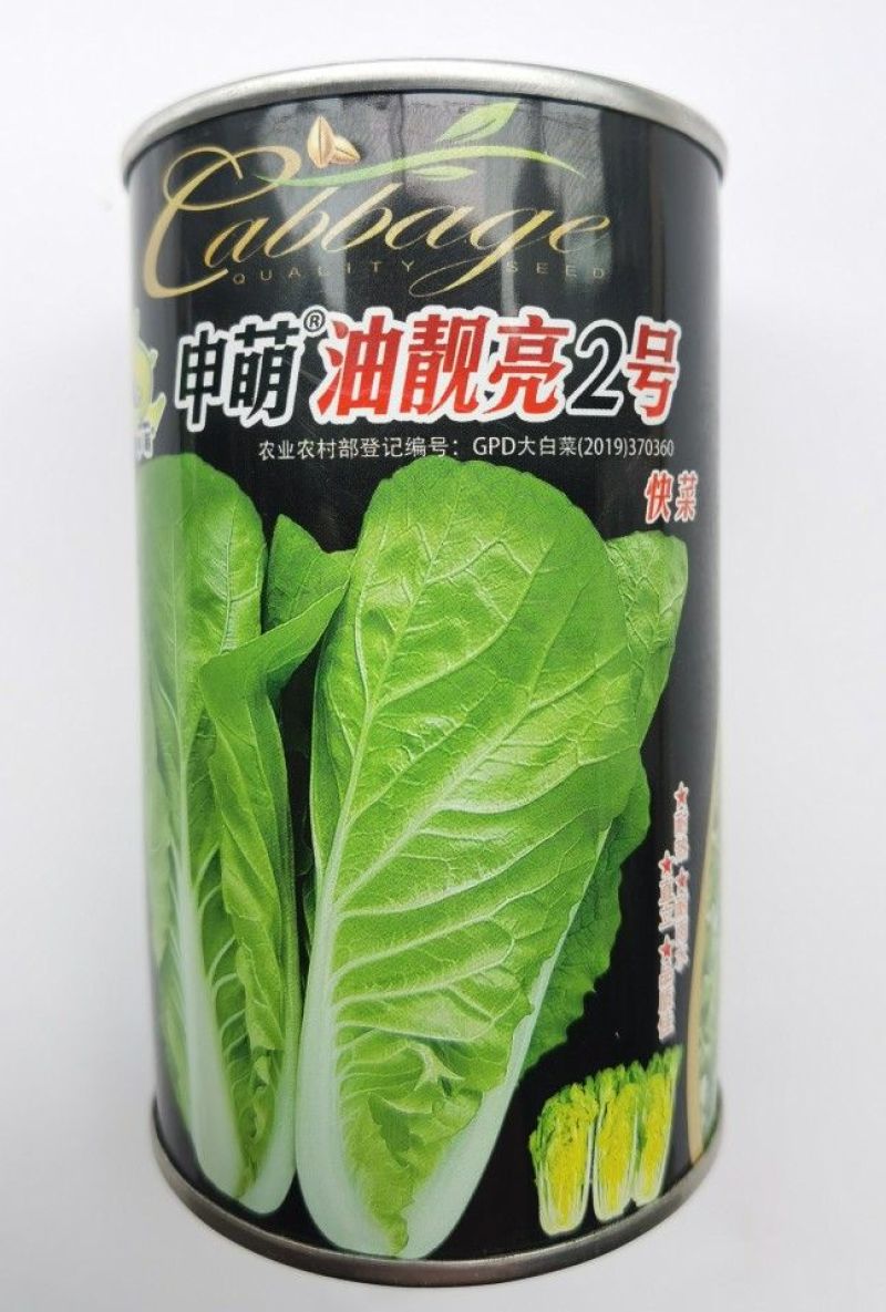 耐热快菜种子油靓亮2号抗高温越夏耐湿热速生小白菜夏秋播