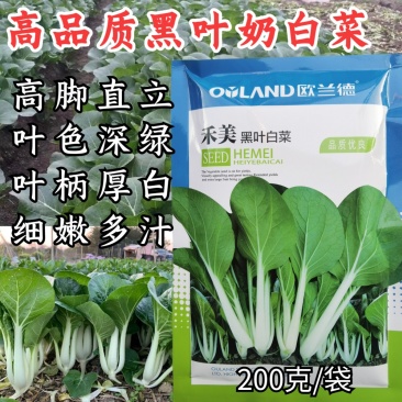 禾美黑叶小白菜种子奶白菜种子籽白梗耐热抗病高产黑叶快菜