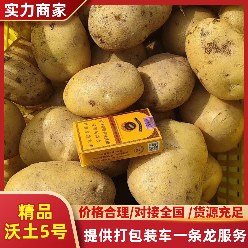 陕西汉中土豆沃土五号定地现挖市场货电商货