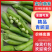 青豌豆、壳豌豆、甜豆颗粒饱满稳定供货量大从优