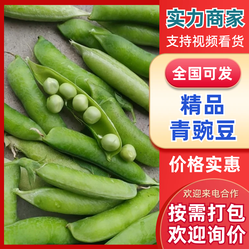 青豌豆、壳豌豆、甜豆颗粒饱满稳定供货量大从优