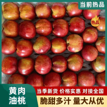 黄肉油桃珍珠枣油桃大小都有可以现场看货满意再装承接电商