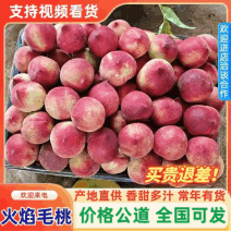 火焰桃也叫红宝石毛桃个头大甜度高水分足耐运输储存承接电商