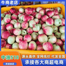 云南原产地518油桃大小规格都有无擦伤干净卖相好硬度好