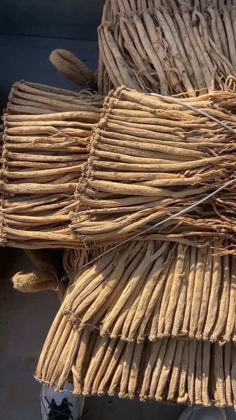 甘肃白条党参精品大条大量上市规格齐全承接电商加工厂
