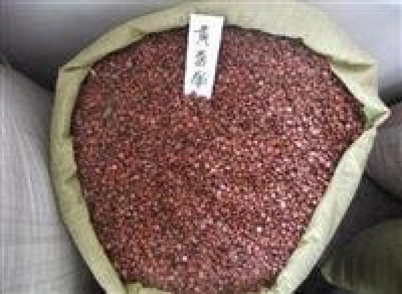 黄菖蒲种子