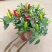 可食用辣椒盆栽带果超辣朝天椒